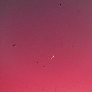 Meet your Posher, Coretta